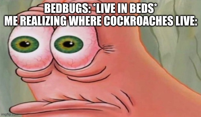 Patrick Stare | BEDBUGS: *LIVE IN BEDS*
ME REALIZING WHERE COCKROACHES LIVE: | image tagged in patrick stare | made w/ Imgflip meme maker
