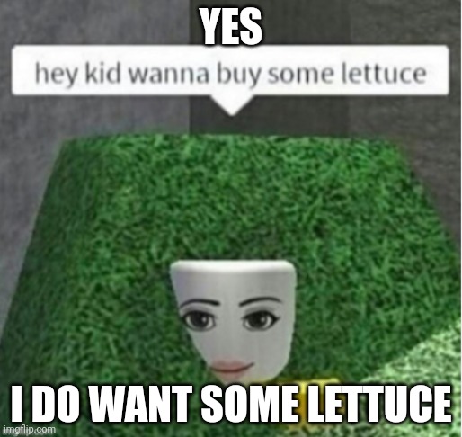 lettuce | YES; I DO WANT SOME LETTUCE | image tagged in lettuce | made w/ Imgflip meme maker