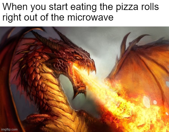 It's not as cool as it looks | When you start eating the pizza rolls 
right out of the microwave | image tagged in fire breathing dragon | made w/ Imgflip meme maker