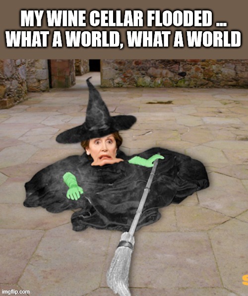 WINE CELLAR MISHAP Imgflip