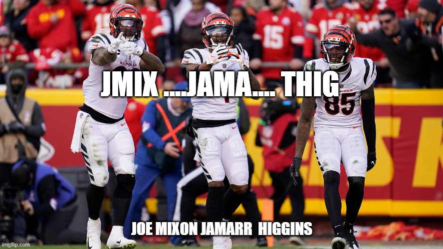 WHO DEY WE DEM | JMIX ....JAMA.... THIG; JOE MIXON JAMARR  HIGGINS | image tagged in jungle | made w/ Imgflip meme maker