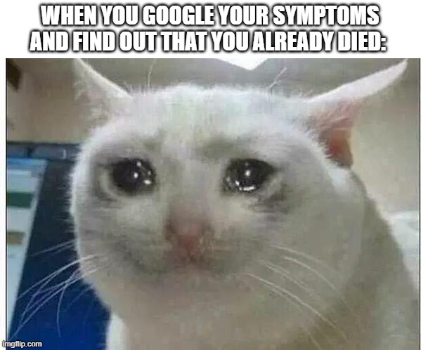 *dies* | WHEN YOU GOOGLE YOUR SYMPTOMS AND FIND OUT THAT YOU ALREADY DIED: | image tagged in crying cat | made w/ Imgflip meme maker