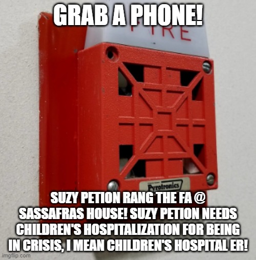 Suzy Petion is CRISIS! Ringing the Sass FA and went to Children's in Boston MA! | GRAB A PHONE! SUZY PETION RANG THE FA @ SASSAFRAS HOUSE! SUZY PETION NEEDS CHILDREN'S HOSPITALIZATION FOR BEING IN CRISIS, I MEAN CHILDREN'S HOSPITAL ER! | image tagged in fire alarm,children,autism | made w/ Imgflip meme maker