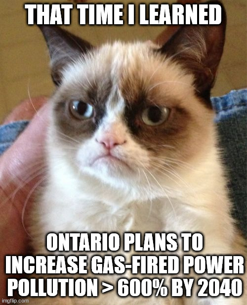 pollution makes me grumpy | THAT TIME I LEARNED; ONTARIO PLANS TO INCREASE GAS-FIRED POWER POLLUTION > 600% BY 2040 | image tagged in memes,grumpy cat | made w/ Imgflip meme maker
