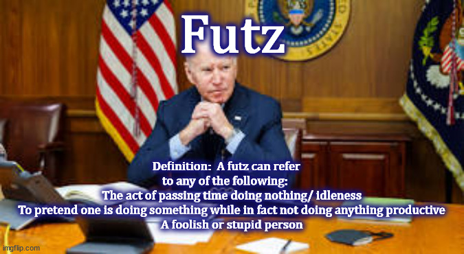 Definition:  A futz can refer to any of the following: 
    The act of passing time doing nothing/ idleness
    To pretend one is doing something while in fact not doing anything productive
    A foolish or stupid person; Futz | made w/ Imgflip meme maker