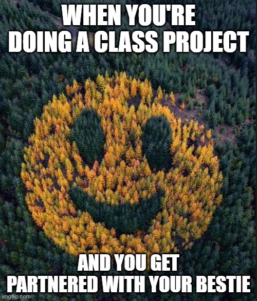 tree smile | WHEN YOU'RE DOING A CLASS PROJECT; AND YOU GET PARTNERED WITH YOUR BESTIE | image tagged in tree smile | made w/ Imgflip meme maker