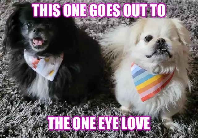 THIS ONE GOES OUT TO; THE ONE EYE LOVE | made w/ Imgflip meme maker