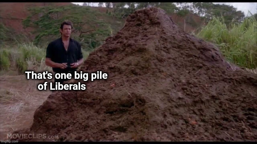 That is one big pile of shit | That's one big pile
            of Liberals | image tagged in that is one big pile of shit | made w/ Imgflip meme maker