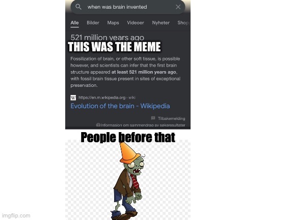 Blank White Template | THIS WAS THE MEME | image tagged in blank white template | made w/ Imgflip meme maker