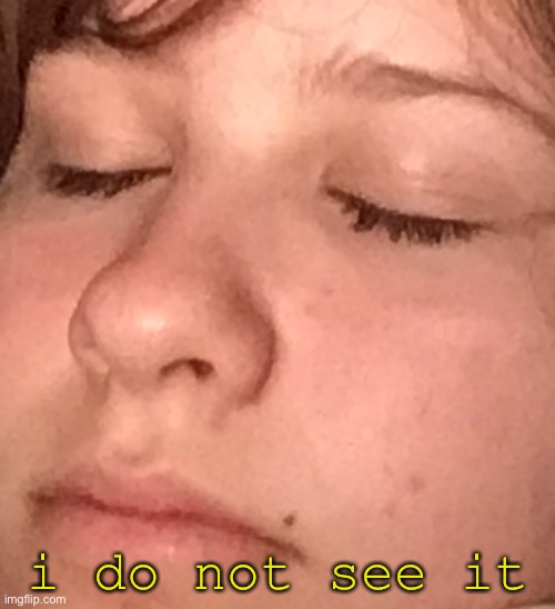 i do not see it Blank Meme Template