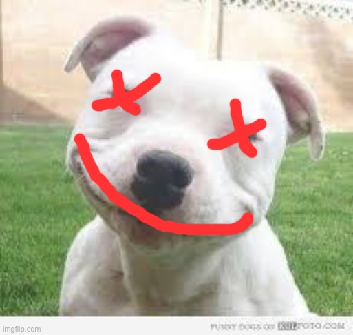 I love improving art | image tagged in happy friday puppy | made w/ Imgflip meme maker