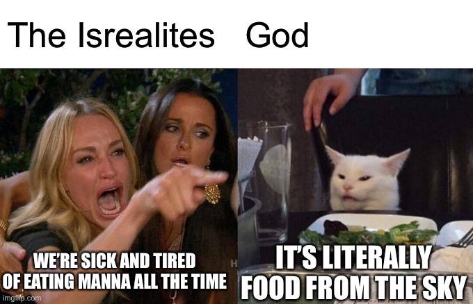 Why | The Isrealites; God; WE’RE SICK AND TIRED OF EATING MANNA ALL THE TIME; IT’S LITERALLY FOOD FROM THE SKY | image tagged in memes,woman yelling at cat | made w/ Imgflip meme maker