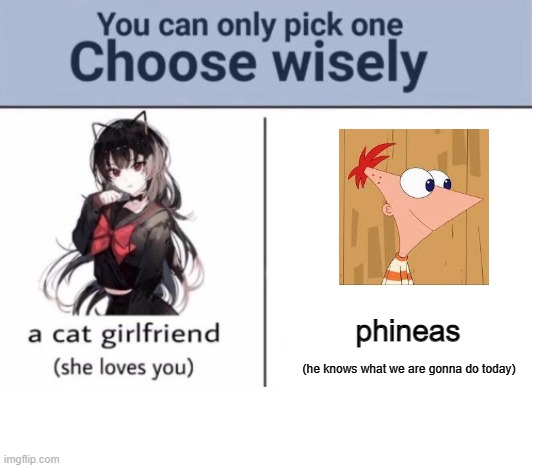 Choose wisely | phineas; (he knows what we are gonna do today) | image tagged in choose wisely | made w/ Imgflip meme maker