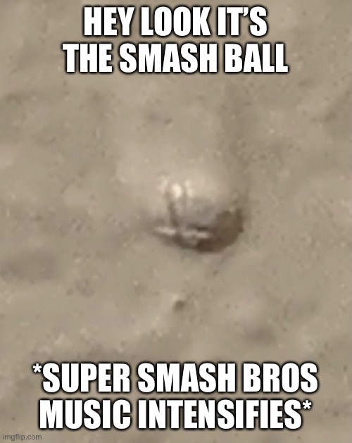 Another attempt at a squidpost | HEY LOOK IT’S THE SMASH BALL; *SUPER SMASH BROS MUSIC INTENSIFIES* | made w/ Imgflip meme maker