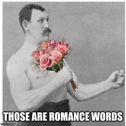 Overly Poetic Man | THOSE ARE ROMANCE WORDS | image tagged in overly poetic man | made w/ Imgflip meme maker