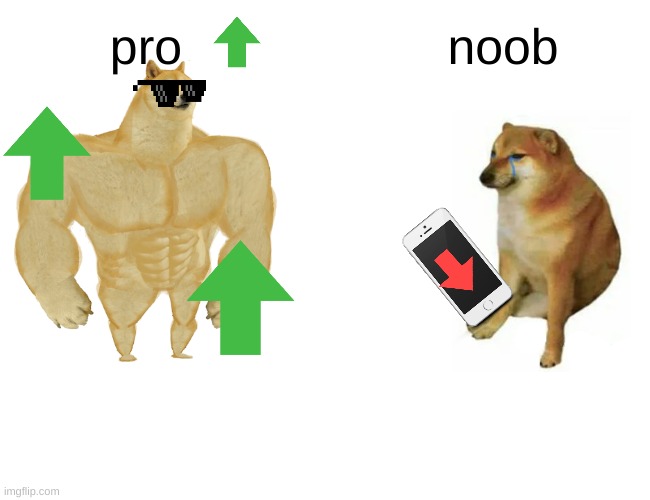 Buff Doge vs. Cheems Meme | pro; noob | image tagged in memes,buff doge vs cheems | made w/ Imgflip meme maker