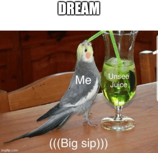 I hope i unsee dream | DREAM | image tagged in unsee juice | made w/ Imgflip meme maker