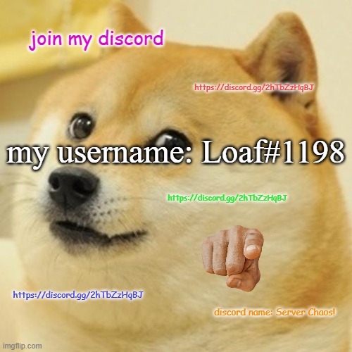 join my discord : https://discord.gg/2hTbZzHqBJ | join my discord; https://discord.gg/2hTbZzHqBJ; my username: Loaf#1198; https://discord.gg/2hTbZzHqBJ; https://discord.gg/2hTbZzHqBJ; discord name: Server Chaos! | image tagged in memes,doge | made w/ Imgflip meme maker