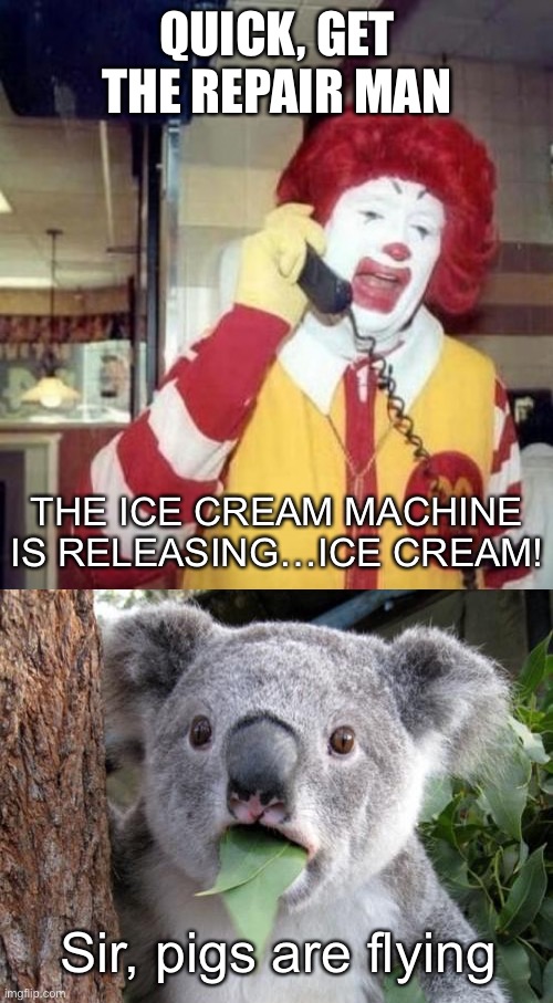 Ice Cream Machines aren’t supposed to work! | QUICK, GET THE REPAIR MAN; THE ICE CREAM MACHINE IS RELEASING…ICE CREAM! Sir, pigs are flying | image tagged in ronald mcdonald on the phone,memes,surprised koala,ice cream machine | made w/ Imgflip meme maker