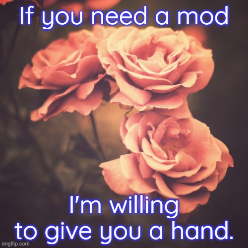 Request? | If you need a mod; I'm willing to give you a hand. | image tagged in beautiful vintage flowers | made w/ Imgflip meme maker