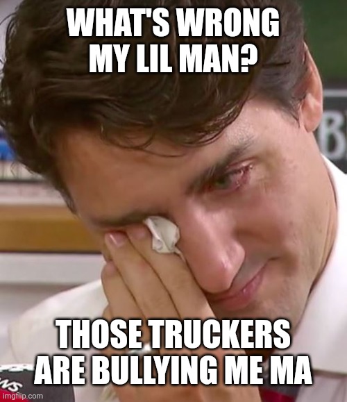 Justin Trudeau Crying | WHAT'S WRONG MY LIL MAN? THOSE TRUCKERS ARE BULLYING ME MA | image tagged in justin trudeau crying | made w/ Imgflip meme maker