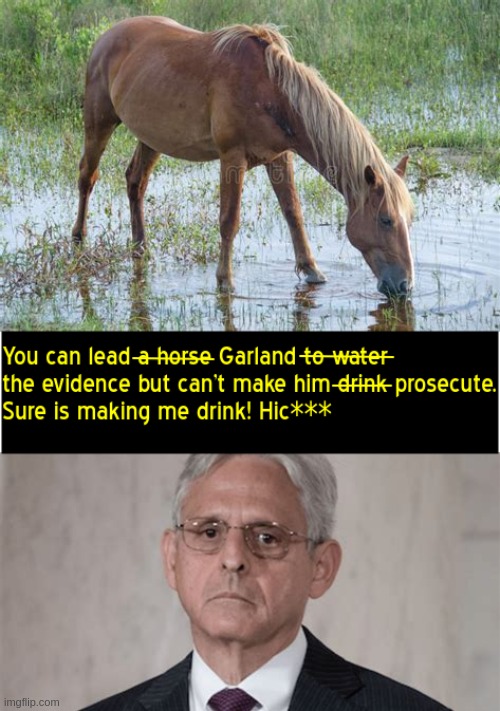 Horse sense and the AG | image tagged in attorney general,merrick garland,doj,horse | made w/ Imgflip meme maker