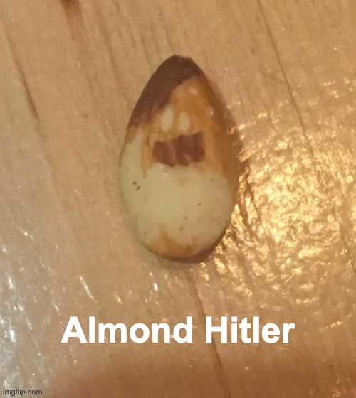 n i c e | Almond Hitler | image tagged in memes,unfunny | made w/ Imgflip meme maker