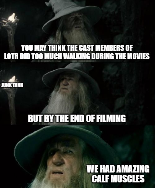 Lord of the Rangs | YOU MAY THINK THE CAST MEMBERS OF LOTR DID TOO MUCH WALKING DURING THE MOVIES; JUNK TANK; BUT BY THE END OF FILMING; WE HAD AMAZING CALF MUSCLES | image tagged in memes,confused gandalf,lotr,walking,junk tank | made w/ Imgflip meme maker