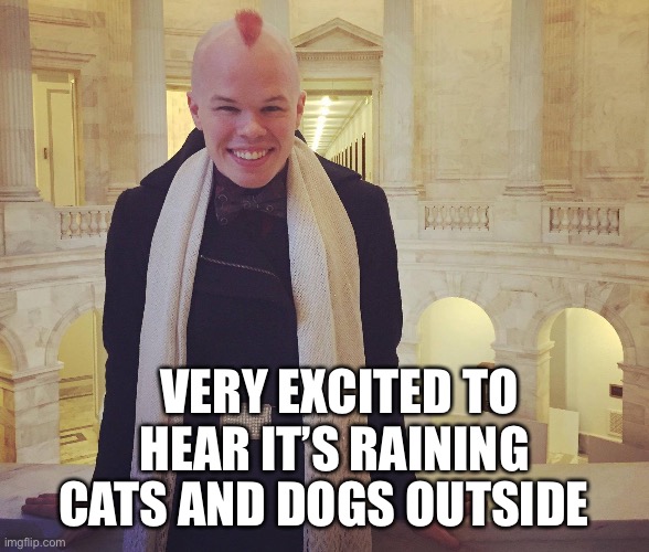 Sam Brinton | VERY EXCITED TO HEAR IT’S RAINING; CATS AND DOGS OUTSIDE | image tagged in politics | made w/ Imgflip meme maker
