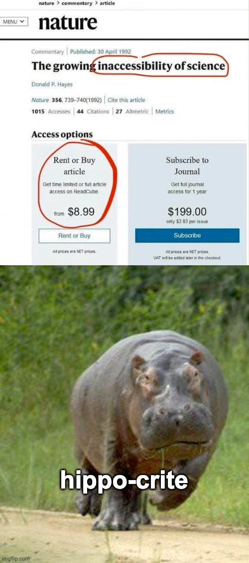 hippo-crite | image tagged in hippocritical,memes,unfunny | made w/ Imgflip meme maker