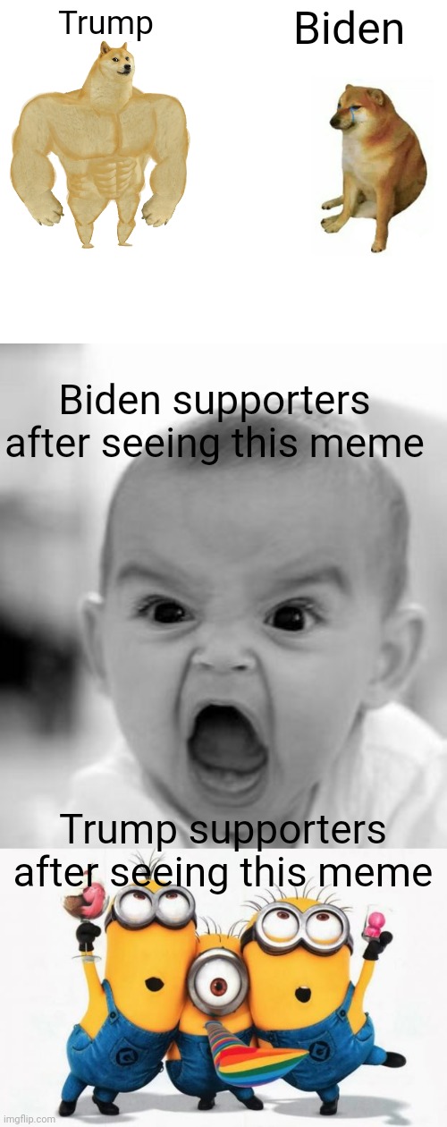 Trump; Biden; Biden supporters after seeing this meme; Trump supporters after seeing this meme | image tagged in memes,buff doge vs cheems,angry baby,minions yay | made w/ Imgflip meme maker