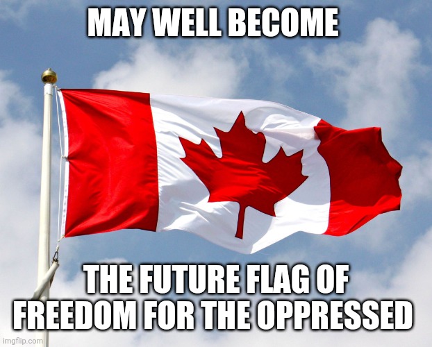 canadian flag | MAY WELL BECOME; THE FUTURE FLAG OF FREEDOM FOR THE OPPRESSED | image tagged in canadian flag | made w/ Imgflip meme maker