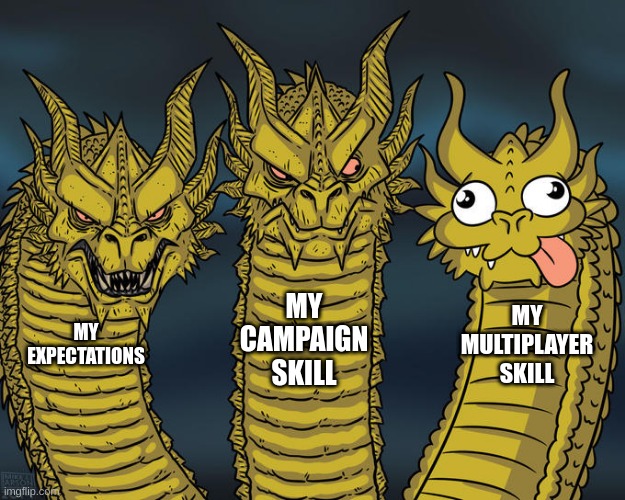 Three-headed Dragon | MY CAMPAIGN SKILL; MY MULTIPLAYER SKILL; MY EXPECTATIONS | image tagged in three-headed dragon | made w/ Imgflip meme maker