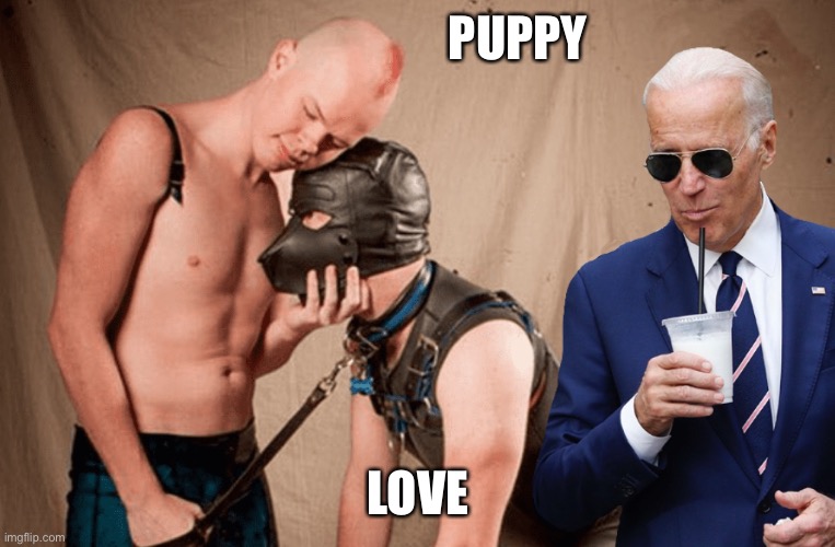 Joe and Sam | PUPPY; LOVE | image tagged in joe biden,politics | made w/ Imgflip meme maker