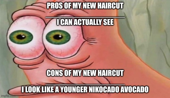 Patrick Stare | PROS OF MY NEW HAIRCUT
___________________
I CAN ACTUALLY SEE; CONS OF MY NEW HAIRCUT
___________________
I LOOK LIKE A YOUNGER NIKOCADO AVOCADO | image tagged in patrick stare | made w/ Imgflip meme maker