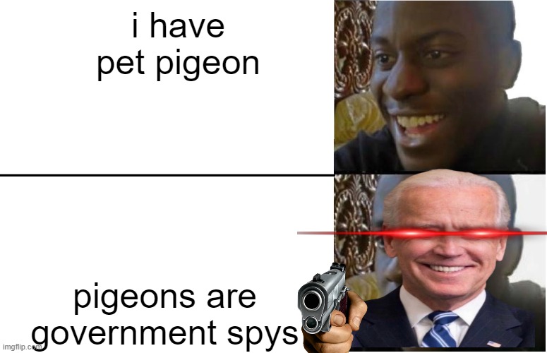 pigeons are government spys | i have pet pigeon; pigeons are government spys | image tagged in disappointed black guy | made w/ Imgflip meme maker