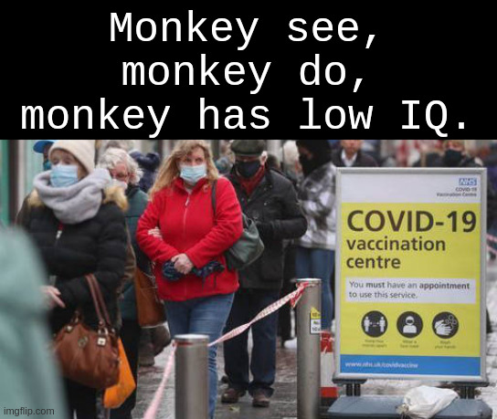 monkey see, monkey do | Monkey see,
monkey do,
monkey has low IQ. | made w/ Imgflip meme maker
