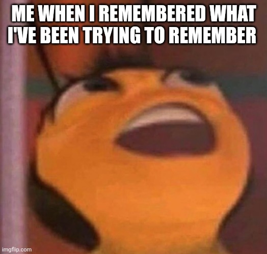 Bee Movie | ME WHEN I REMEMBERED WHAT I'VE BEEN TRYING TO REMEMBER | image tagged in bee movie | made w/ Imgflip meme maker