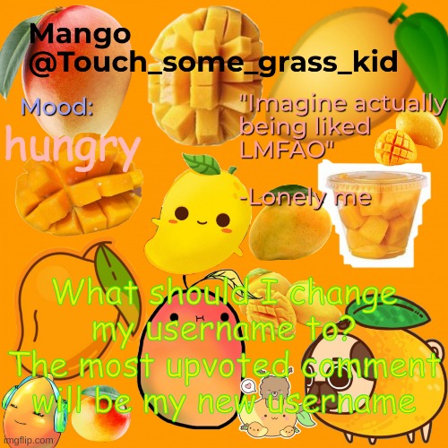 . | hungry; What should I change my username to? The most upvoted comment will be my new username | image tagged in mango's temp bc bored | made w/ Imgflip meme maker