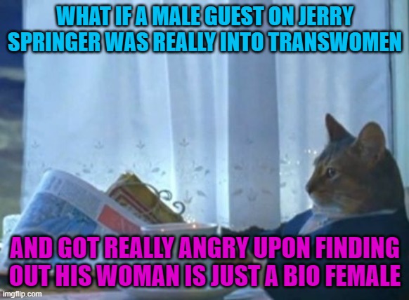I Should Buy A Boat Cat Meme | WHAT IF A MALE GUEST ON JERRY SPRINGER WAS REALLY INTO TRANSWOMEN; AND GOT REALLY ANGRY UPON FINDING OUT HIS WOMAN IS JUST A BIO FEMALE | image tagged in memes,i should buy a boat cat,jerry springer,transgender,tv show,woman | made w/ Imgflip meme maker