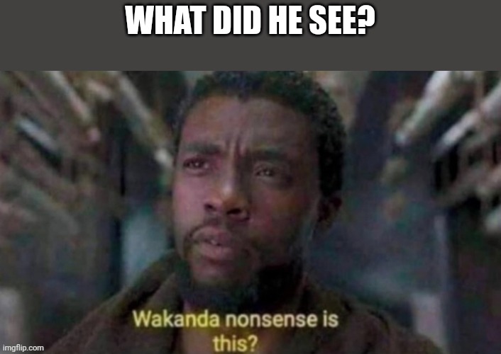 Wakanda Nonsense Is This? | WHAT DID HE SEE? | image tagged in wakanda nonsense is this | made w/ Imgflip meme maker