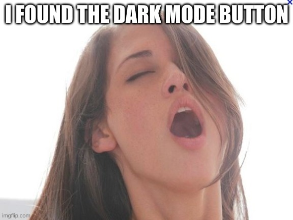 Pleasure girl | I FOUND THE DARK MODE BUTTON | image tagged in pleasure girl | made w/ Imgflip meme maker