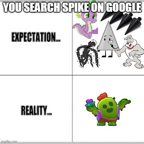 Expectation vs Reality |  YOU SEARCH SPIKE ON GOOGLE | image tagged in expectation vs reality | made w/ Imgflip meme maker