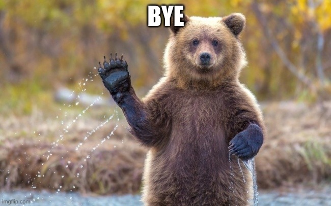 bye bye bear | BYE | image tagged in bye bye bear | made w/ Imgflip meme maker