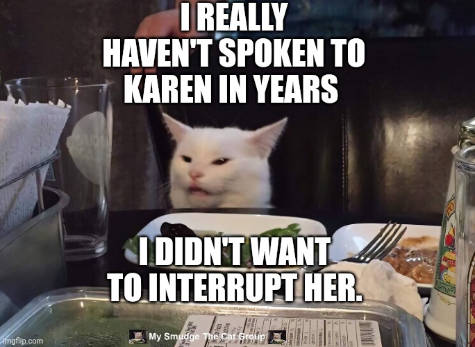  I REALLY HAVEN'T SPOKEN TO KAREN IN YEARS; I DIDN'T WANT TO INTERRUPT HER. | image tagged in smudge the cat | made w/ Imgflip meme maker
