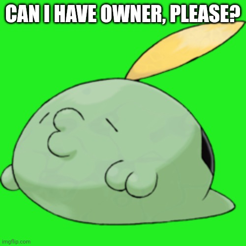 May I have owner? | CAN I HAVE OWNER, PLEASE? | image tagged in gulpin,pokemon,owner,please,memes | made w/ Imgflip meme maker