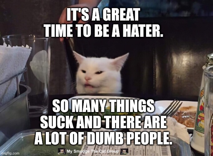 IT'S A GREAT TIME TO BE A HATER. SO MANY THINGS SUCK AND THERE ARE A LOT OF DUMB PEOPLE. | image tagged in smudge the cat | made w/ Imgflip meme maker