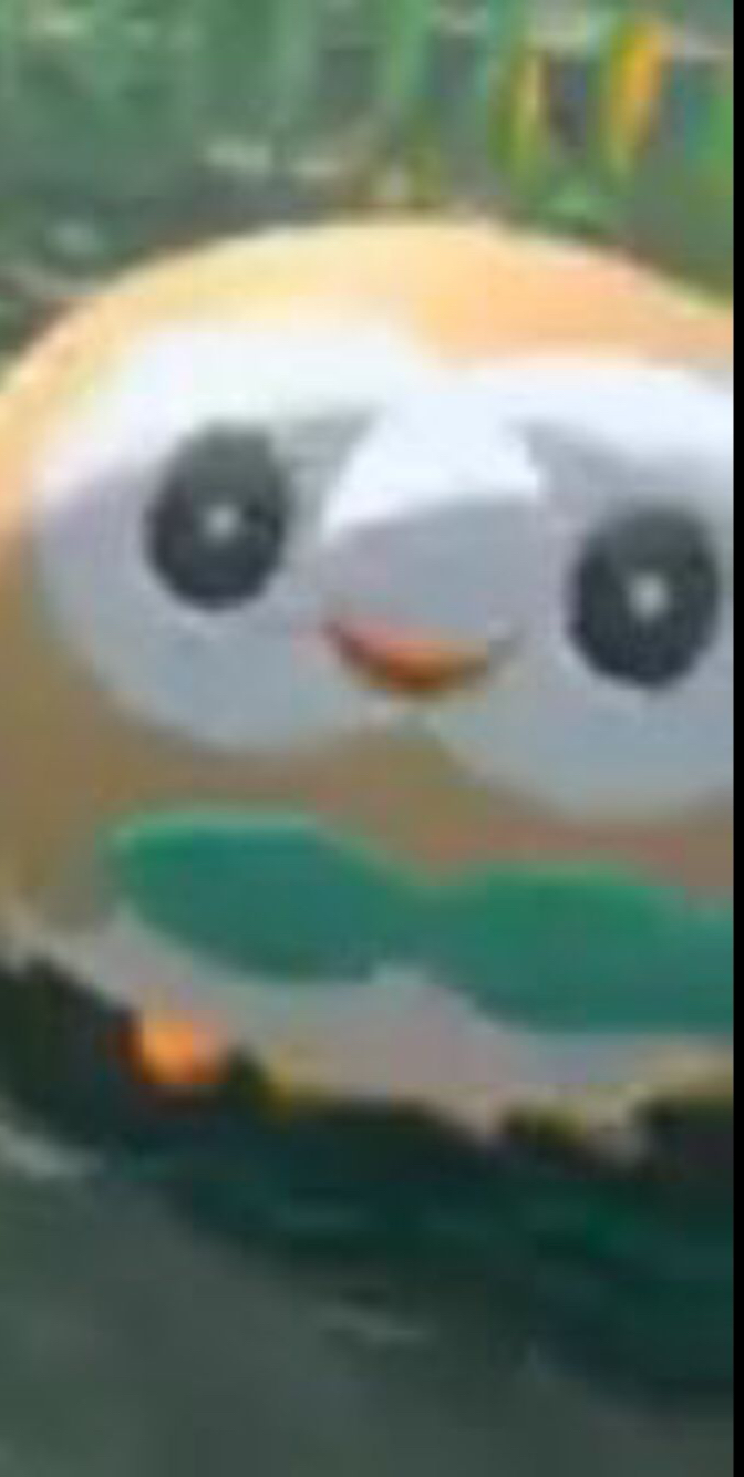 High Quality ROWLET Blank Meme Template