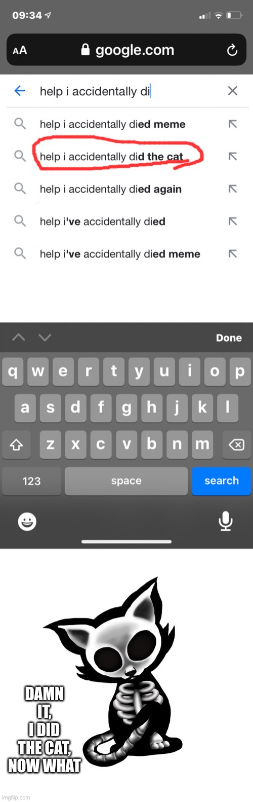 Help I accidentally did the cat | DAMN IT, I DID THE CAT, NOW WHAT | image tagged in memes,help i accidentally,skeleton,cat | made w/ Imgflip meme maker