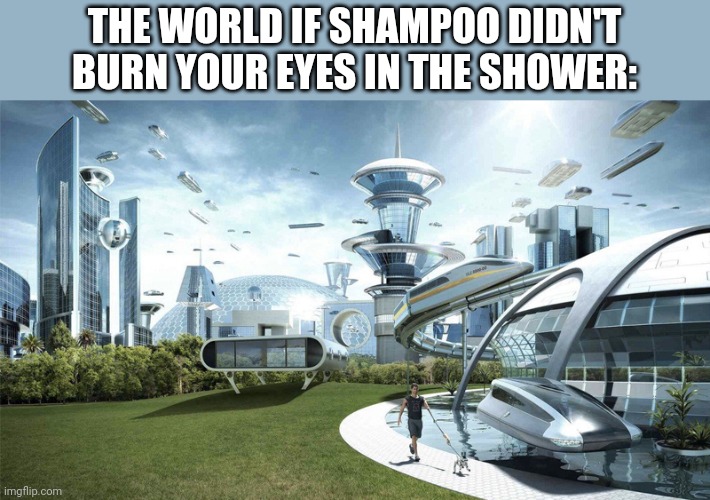 Happens to me all the time :( | THE WORLD IF SHAMPOO DIDN'T BURN YOUR EYES IN THE SHOWER: | image tagged in the future world if,shampoo,burn,eyes,i have no idea what i am doing | made w/ Imgflip meme maker